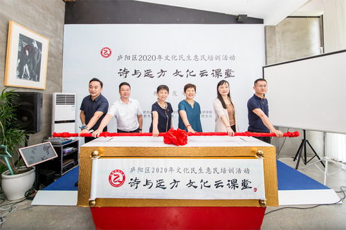 詩與遠方 盡在 云課堂 廬陽區啟動公共文化藝術培訓線上服務